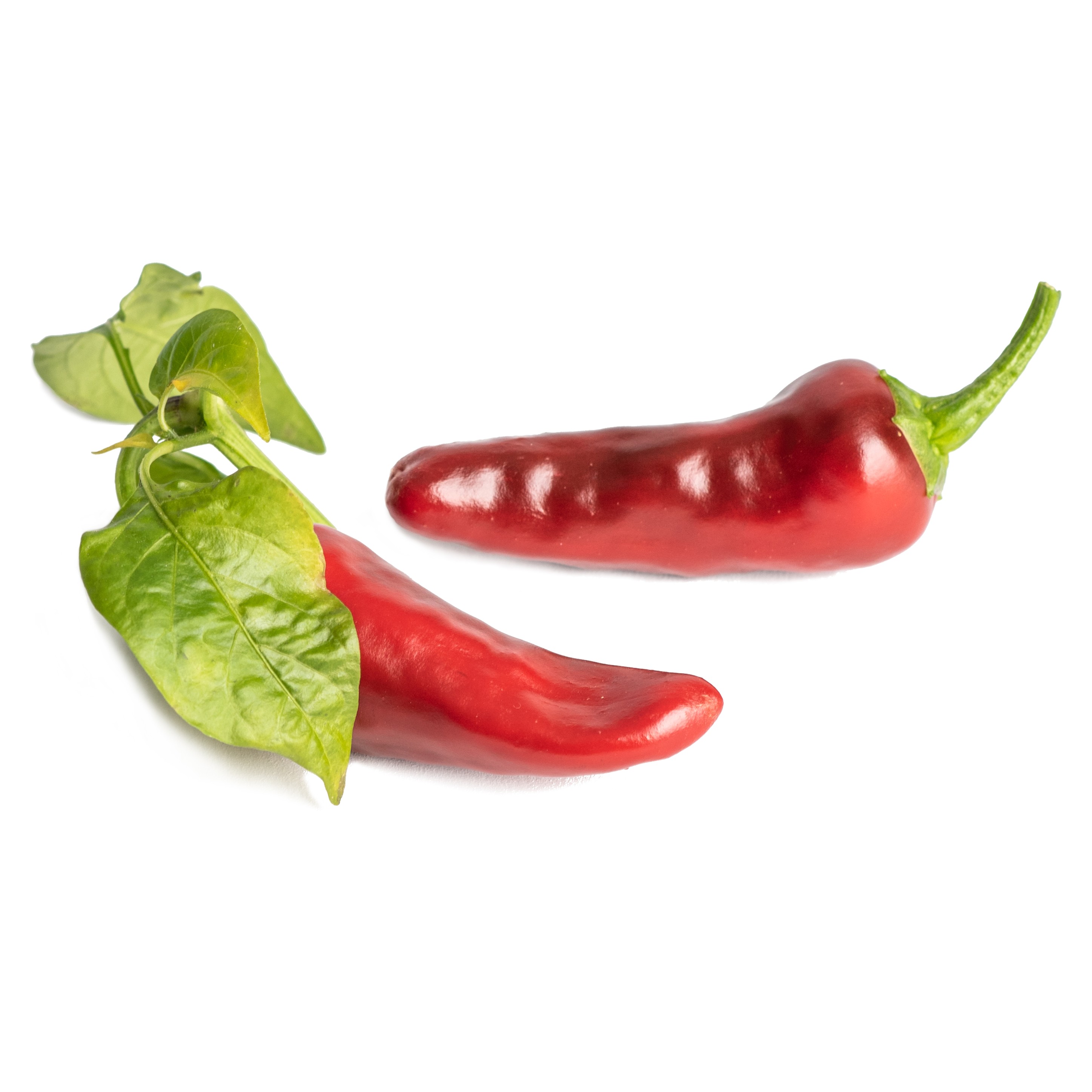 Piment d'Espelette