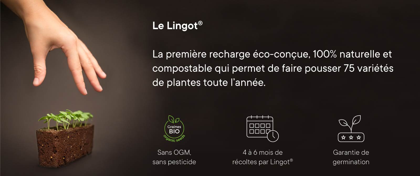 Bannière Lingot