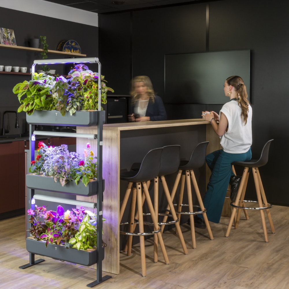 Gourmet can be used to green a wide range of corporate spaces: cafeterias, showrooms, relaxation rooms, meeting rooms...