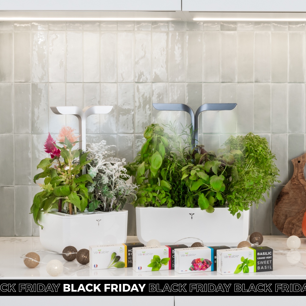 Vous ne trouverez pas meilleur prix sur votre potager que pendant les offres Black Friday