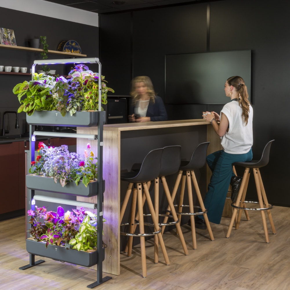 Gourmet permet de végétaliser de nombreux espaces en entreprise : cafétéria, showroom, salle de détente, salle de réunion...