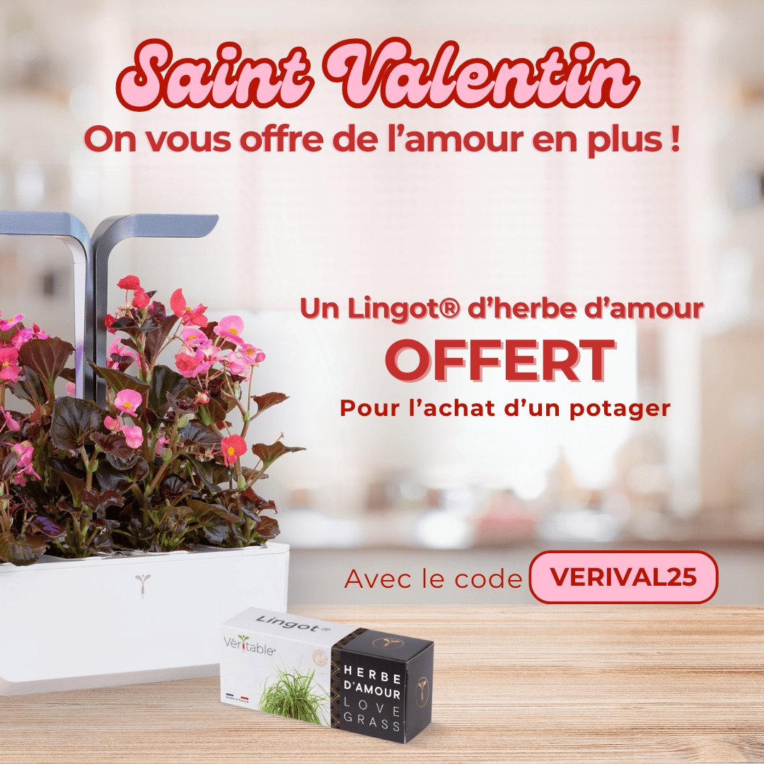 Pour la saint Valentin, je lui offre un potager made in France