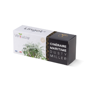 Packaging du Lingot de cinéraire maritime