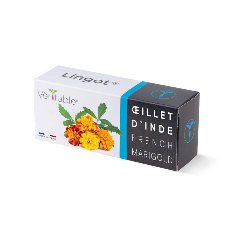 French marigold packaging